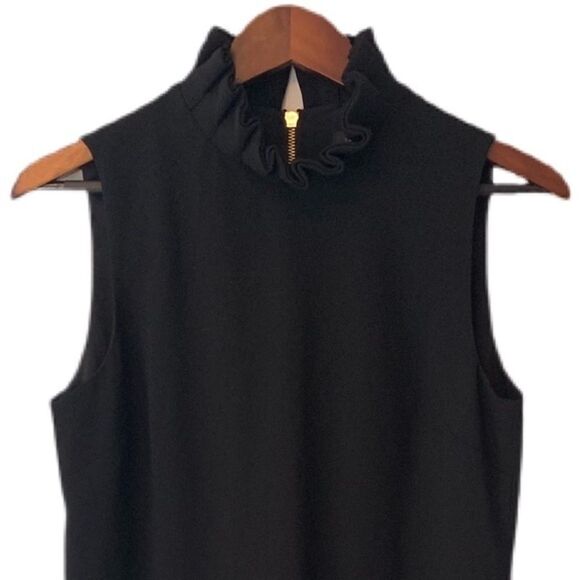 Ted Backer London Miyah Dramatic Ruffle Neck Dress - Picture 4 of 11